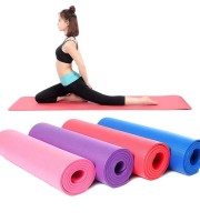 Yoga Mat Fitness Exercise