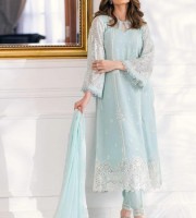 Soft Georgette Embroidered Pakistani Suit (HRB12)