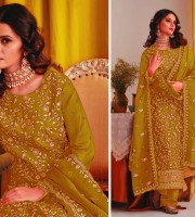 Olive indian Soft Georgette With Heavy Embroidery