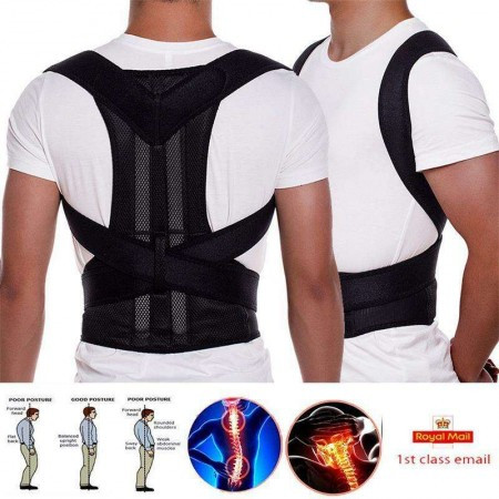 Royal Posture Back Support Belt