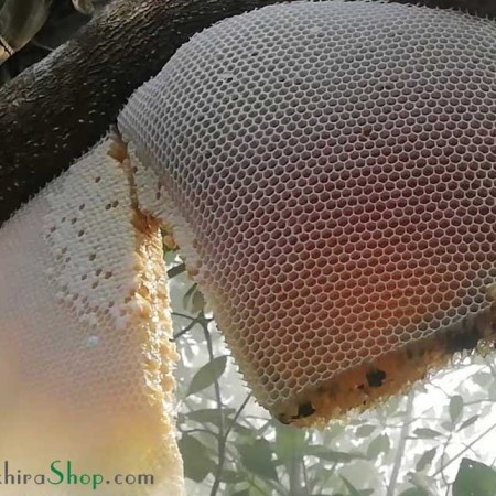 Honey with honeycomb (1kg) মৌচাক সহ মধু